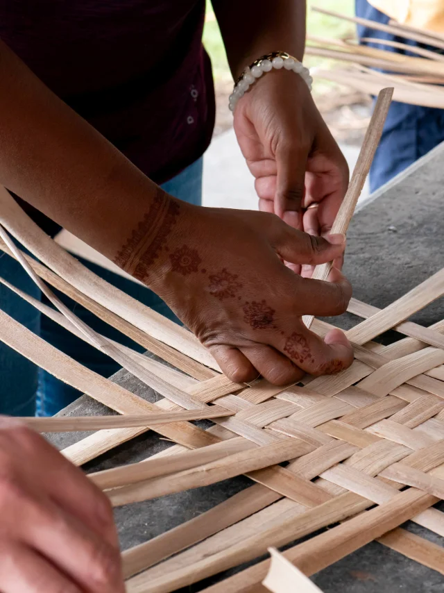 Sur La Route Des 5 Sens. Credits Irt@la Petite Creole Dt Juin 2034 41