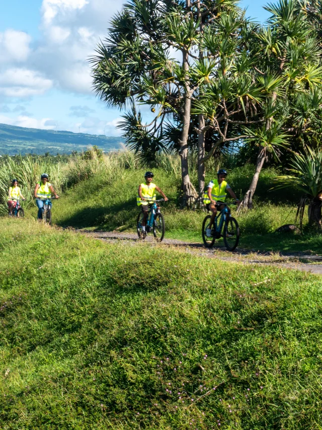 Expérience La route des 5 sens: une journée en VTT autour de la vanille Bourbon . Ateliers, visites, déjeuner et dégustations rythmeront cette journée.
