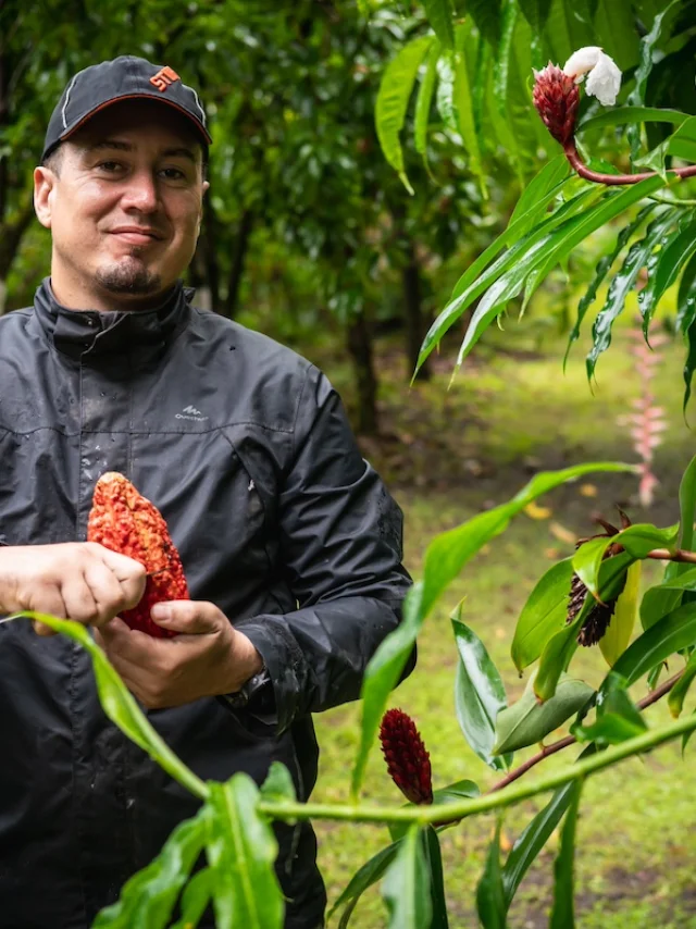 Franck Morel Bitasyon 56 Zartisans Du Gout@irt Zest.re Dt Dec 2034