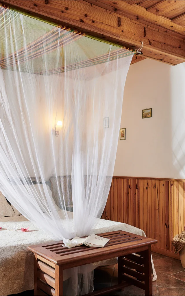 Vion Bardzour Gites Flamboyant Saint Leu