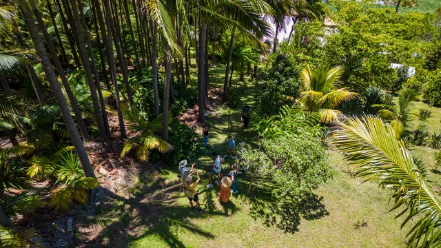 Plongée dans la tradition culinaire réunionnaise
