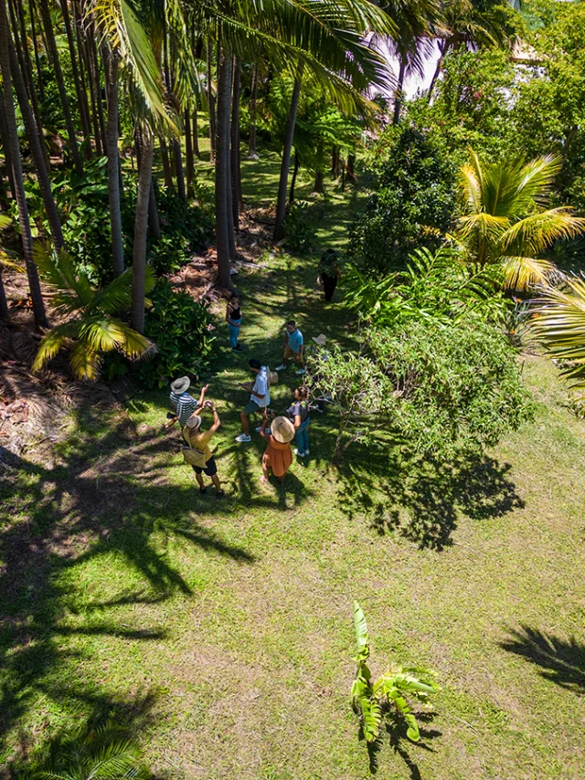 Plongée dans la tradition culinaire réunionnaise