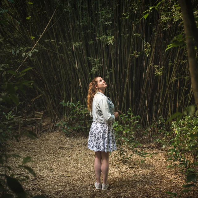 Le Labyrinthe En Champ The04 Manuelle Au Pays Des Merveilles Credit Irt Mileslove Dts 09 2024