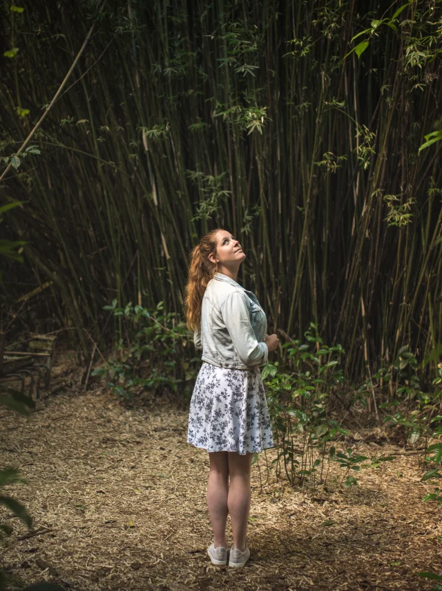 Le Labyrinthe En Champ The04 Manuelle Au Pays Des Merveilles Credit Irt Mileslove Dts 09 2024