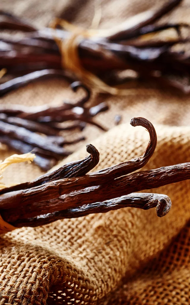 Vanille37 Credit Irt Studio Lumiere Dts 06 2026