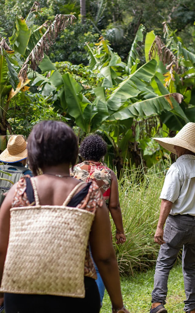 Une Journee De Decouverte Au Far Far De Bezaves Irt@ze Caillou Dt Mars 2035