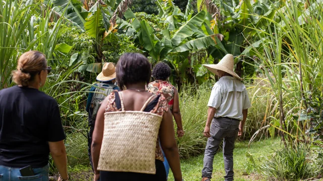 Une Journee De Decouverte Au Far Far De Bezaves Irt@ze Caillou Dt Mars 2035
