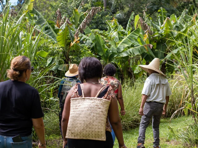 Une Journee De Decouverte Au Far Far De Bezaves Irt@ze Caillou Dt Mars 2035
