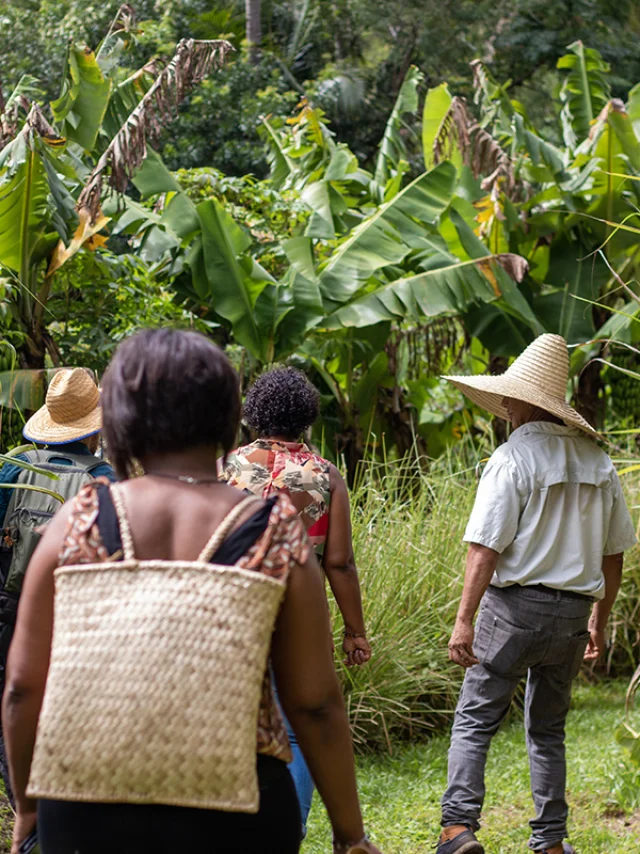 Une Journee De Decouverte Au Far Far De Bezaves Irt@ze Caillou Dt Mars 2035