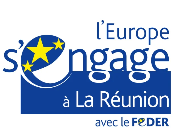 Logo Europe Engage Reunion Couleur Feder